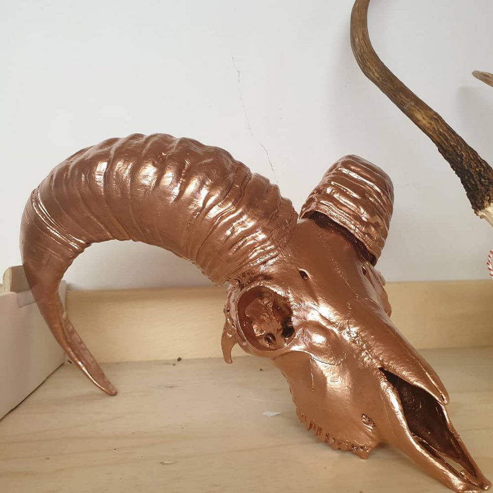 Widdertrophäe im Kupfer-Look