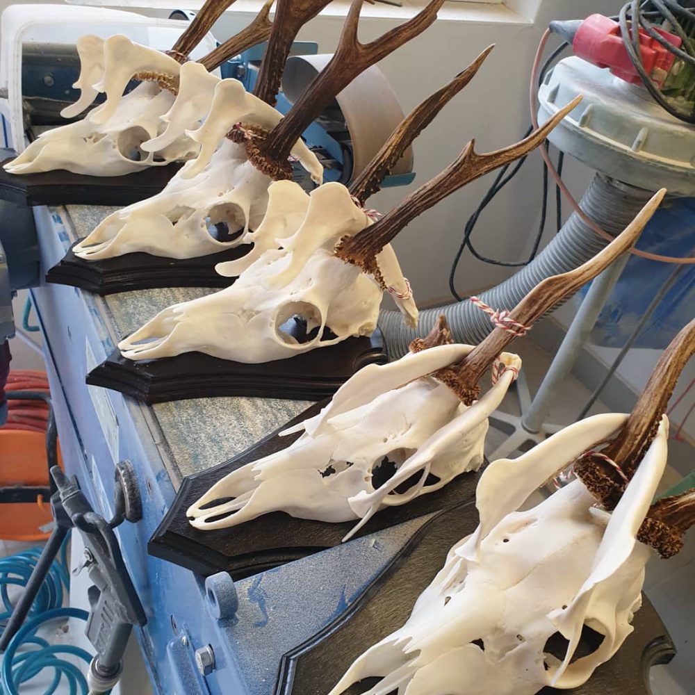 Mehrere Rehböcke auf dunklem Holz