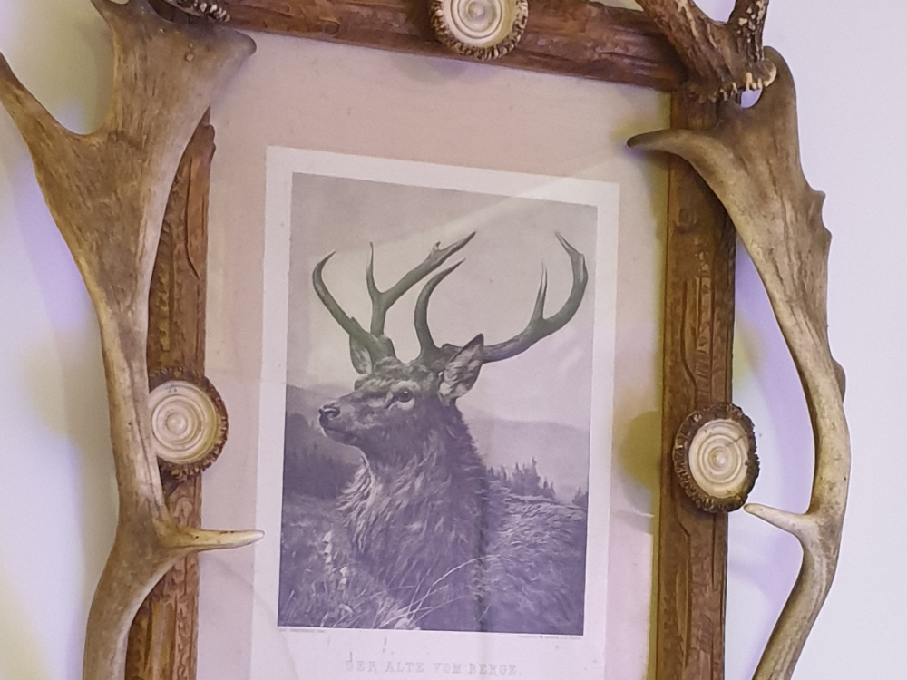 Bilderrahmen aus Geweihresten