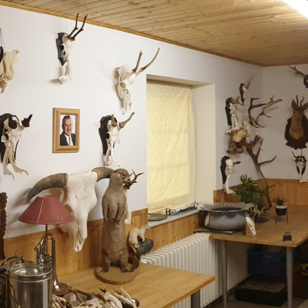 BLick auf die linke Seite des Präsentationsraums