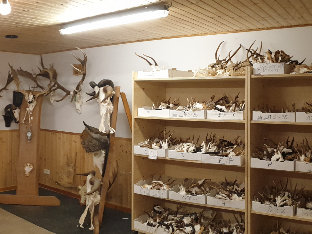 BLick auf die rechte Seite des Präsentationsraums