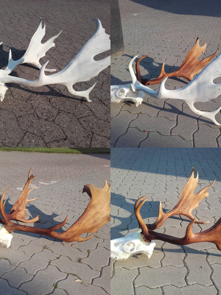 Entwicklungsprozess einer Trophäe